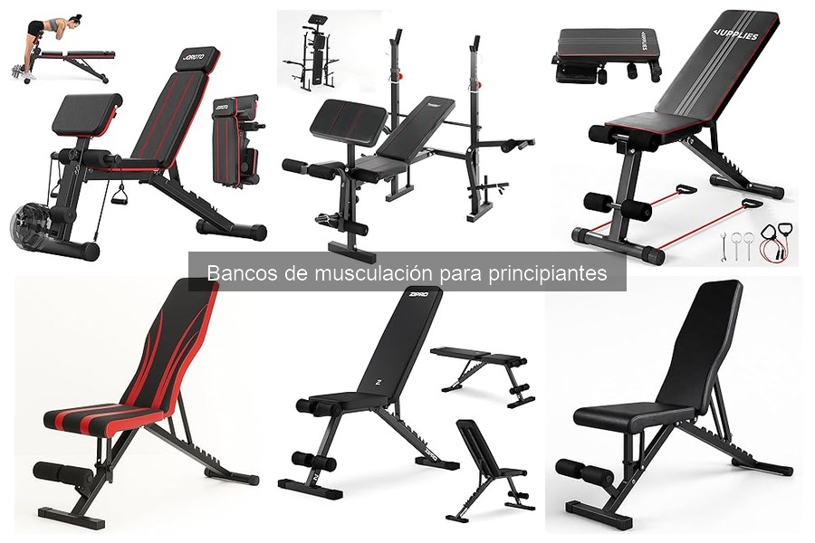 Mejores marcas de bancos de musculación para principiantes