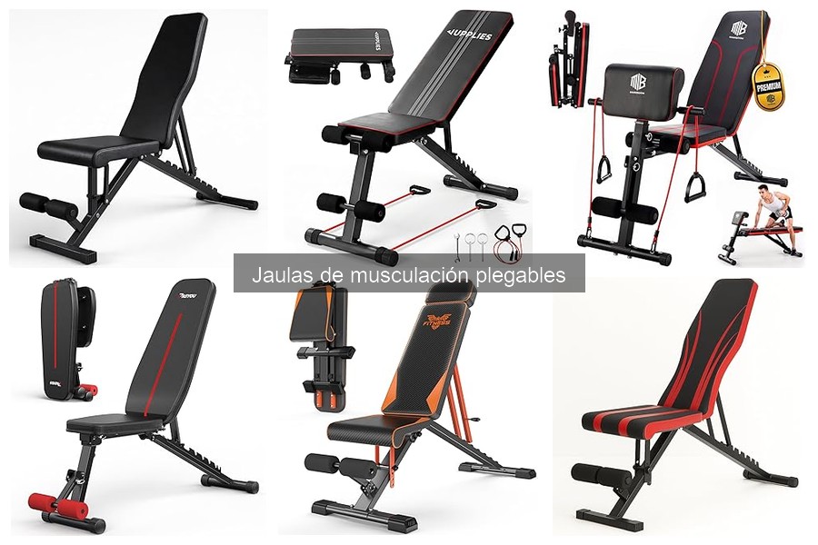 Mejores marcas de jaulas de musculación plegables 2023