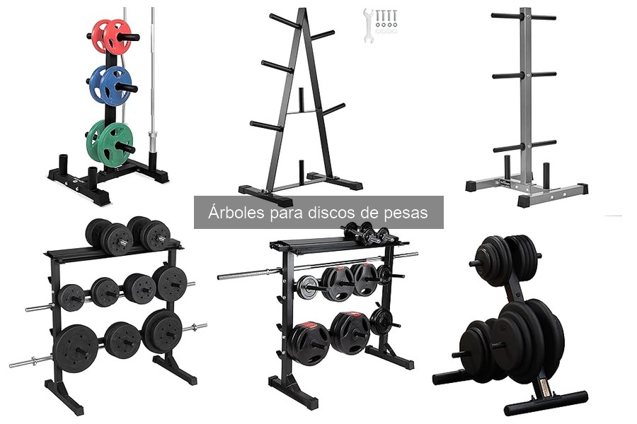 Precios de árboles para discos de pesas: opciones para cada presupuesto