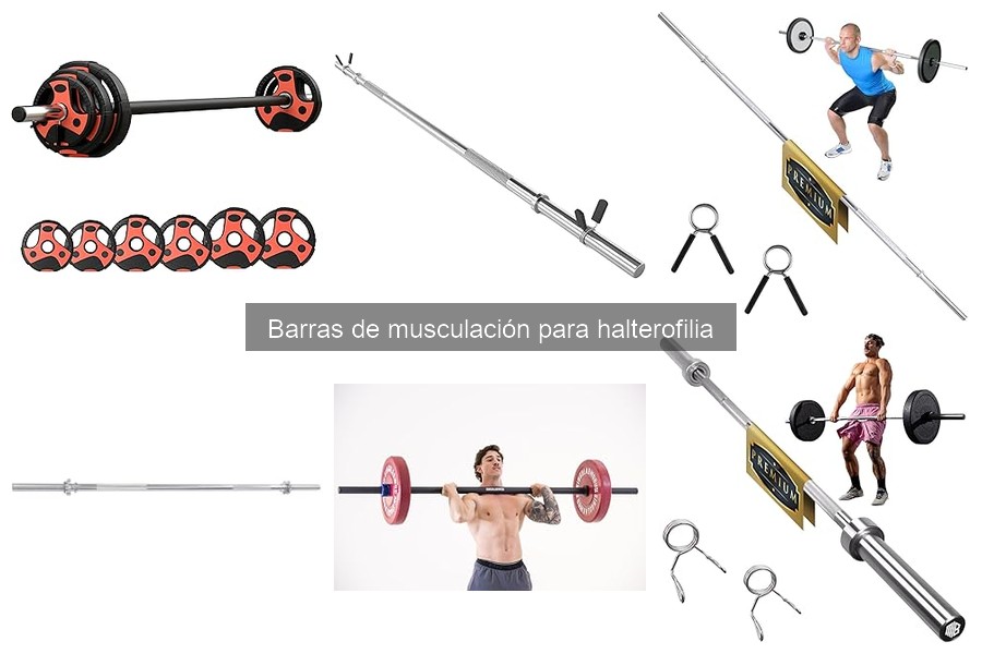 Precios de barras de musculación y mejores lugares para comprarlas