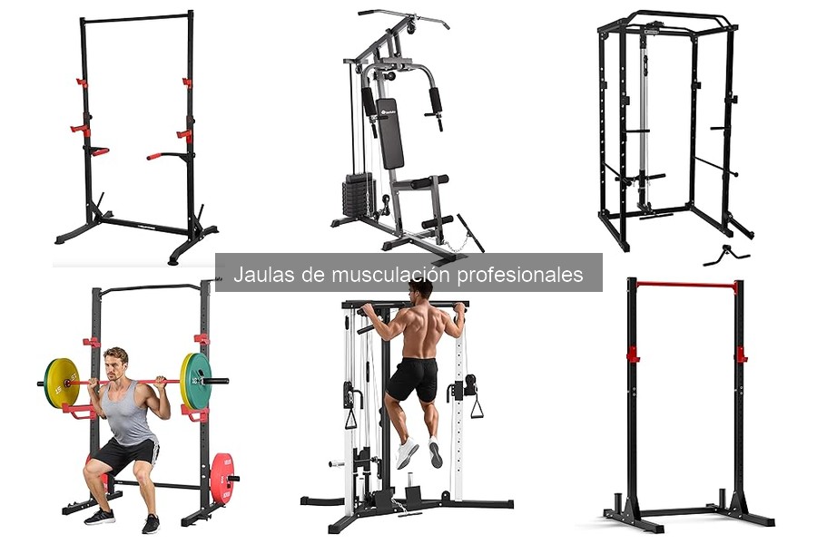 Precios de Jaulas de Musculación y Dónde Comprarlas