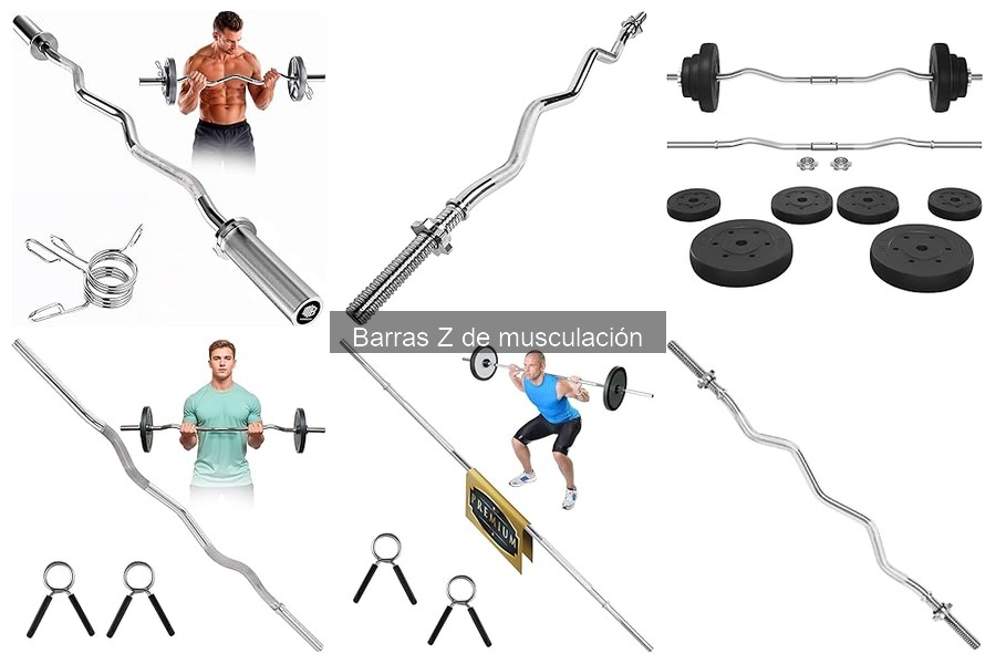 Precios y Comparativa de Barras Z de Musculación