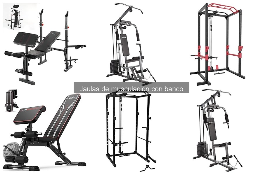 Precios y dónde comprar jaulas de musculación con banco