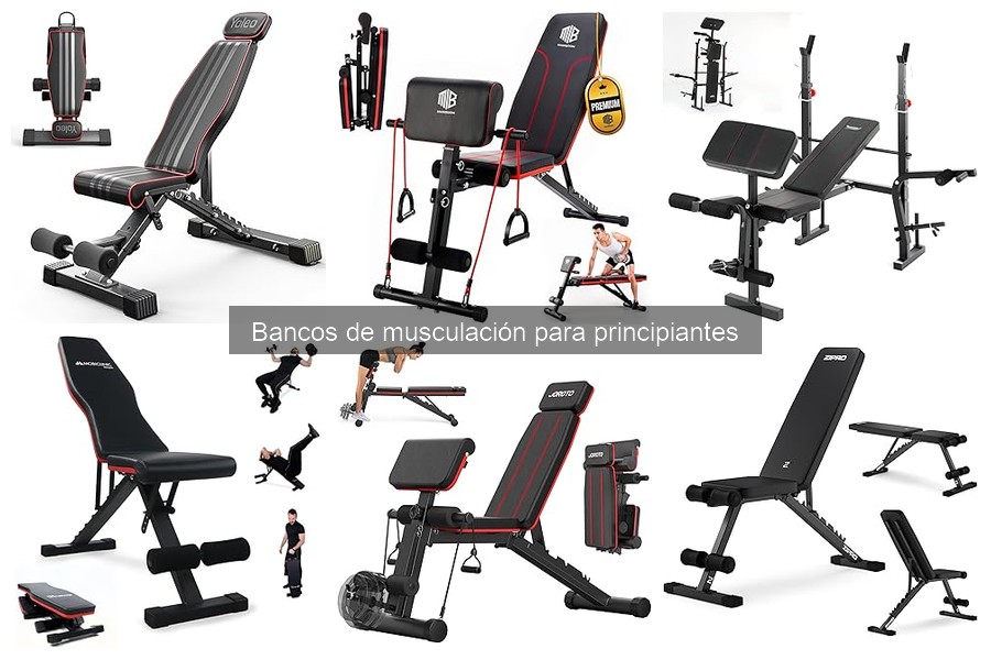 ¿Qué es un banco de musculación? Guía para principiantes