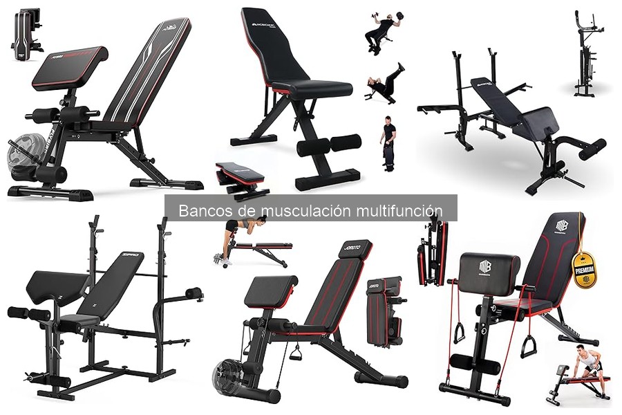¿Qué es un banco de musculación multifunción? Guía básica