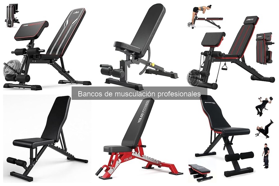 Testimonios de Usuarios sobre Bancos de Musculación Profesionales