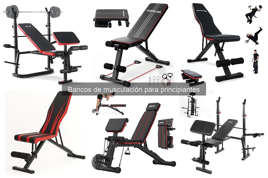Tipos de bancos de musculación para principiantes en casa