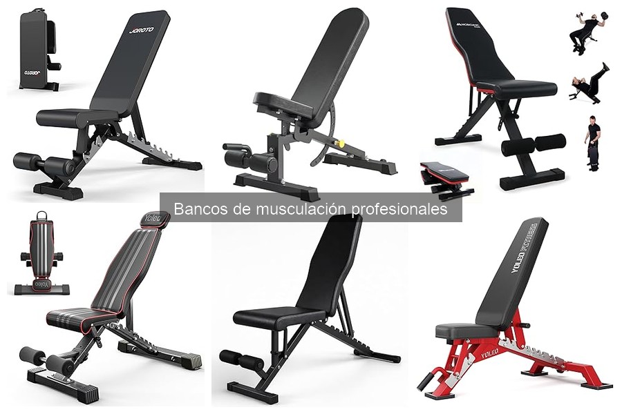 Tipos de bancos de musculación según tu entrenamiento
