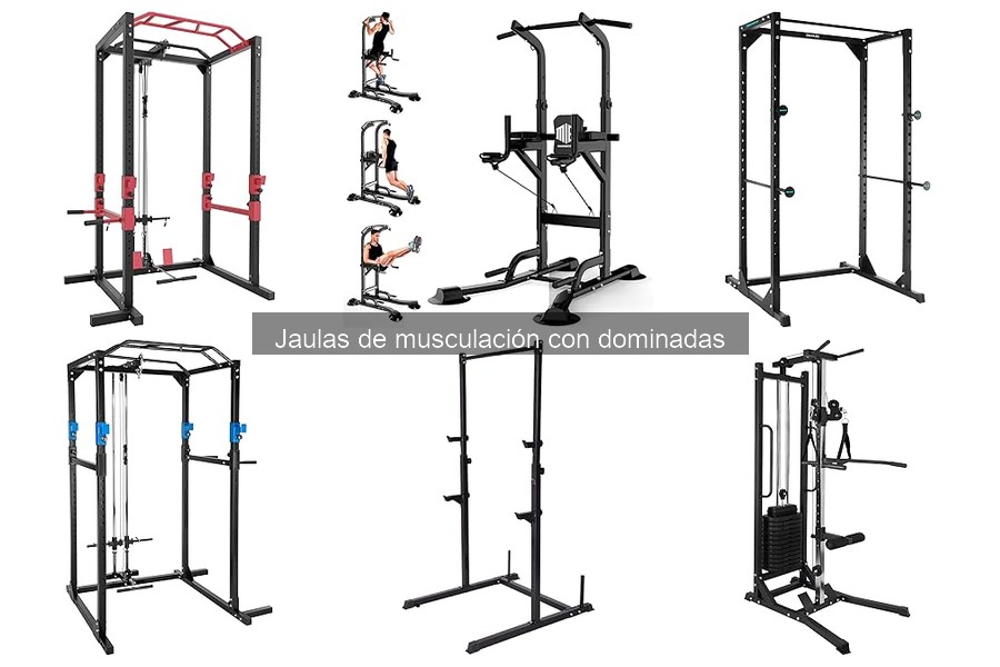 Tipos de jaulas de musculación con dominadas: guía completa
