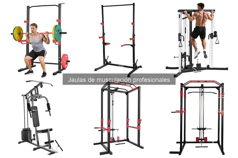 Tipos de jaulas de musculación y sus características