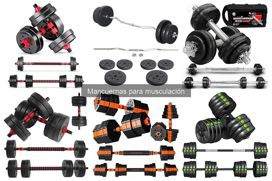 Tipos de mancuernas para musculación: guía completa