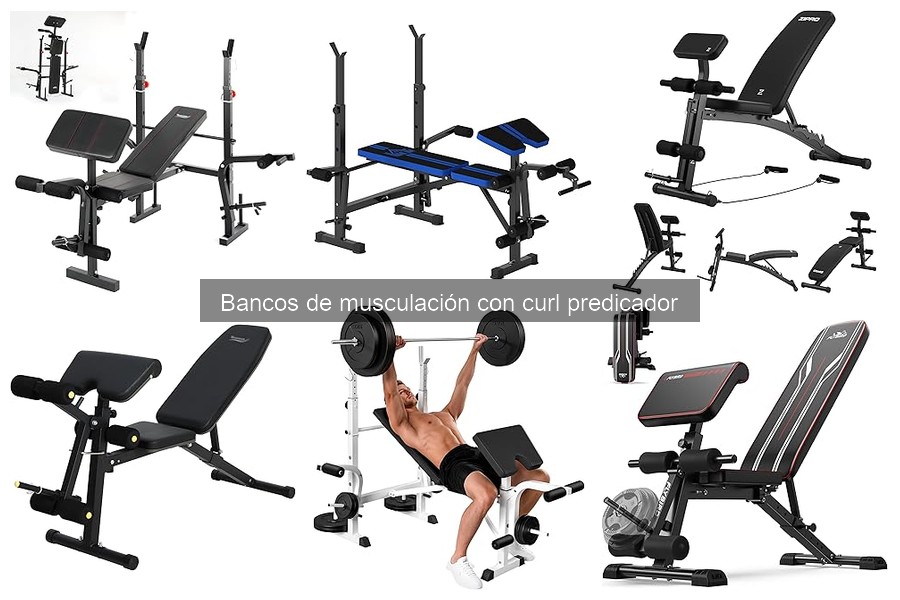 Todo sobre el banco de musculación con curl predicador