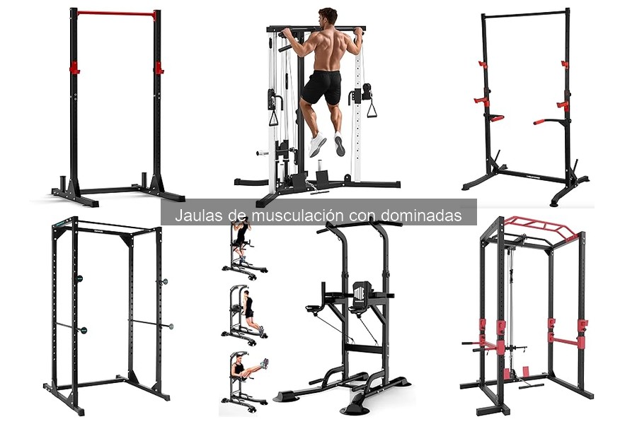 Ventajas y desventajas de jaulas de musculación con dominadas