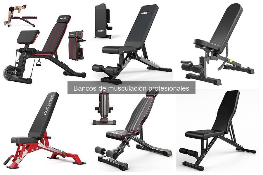 Vida útil de un banco de musculación profesional